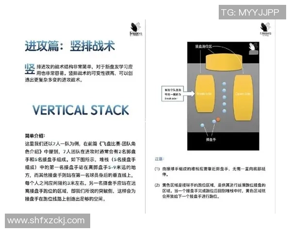 上海飞盘队技术表现深度分析与战术探讨之旅 上海飞盘队技术表现深度分析与战术探讨之旅