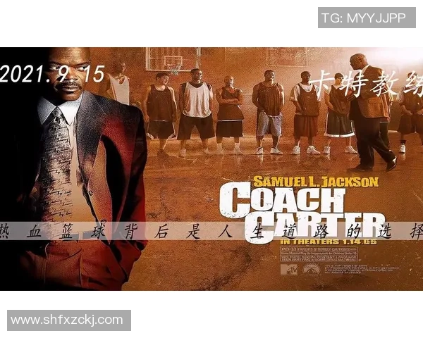 杨丽的篮球人生深度对话：从梦想起航到赛场辉煌的心路历程