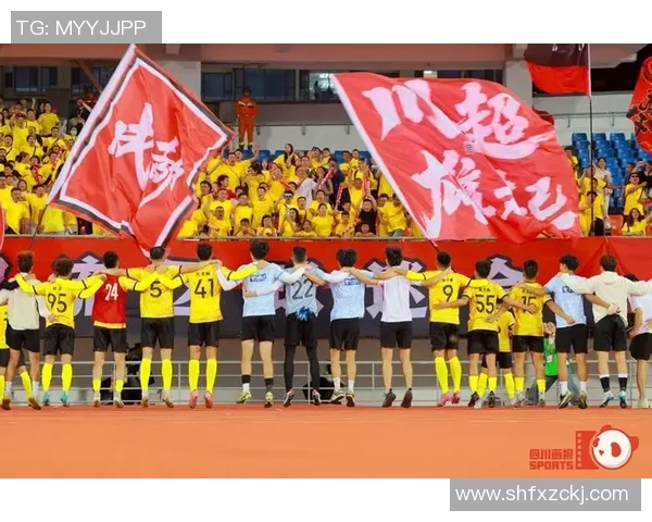 成都足球队的节奏揭秘：激情与梦想交织的绿茵传奇