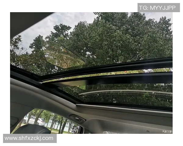 武汉滑板队在世界街舞大赛中的灵活性表现引发热议与赞赏